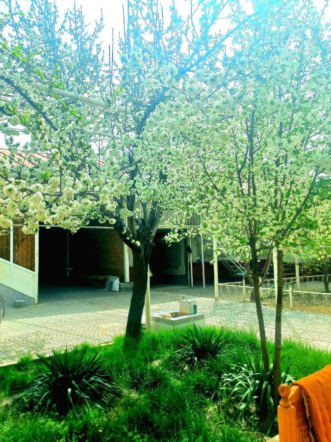 Colibri Traditional Guest House Samarkand Exterior foto